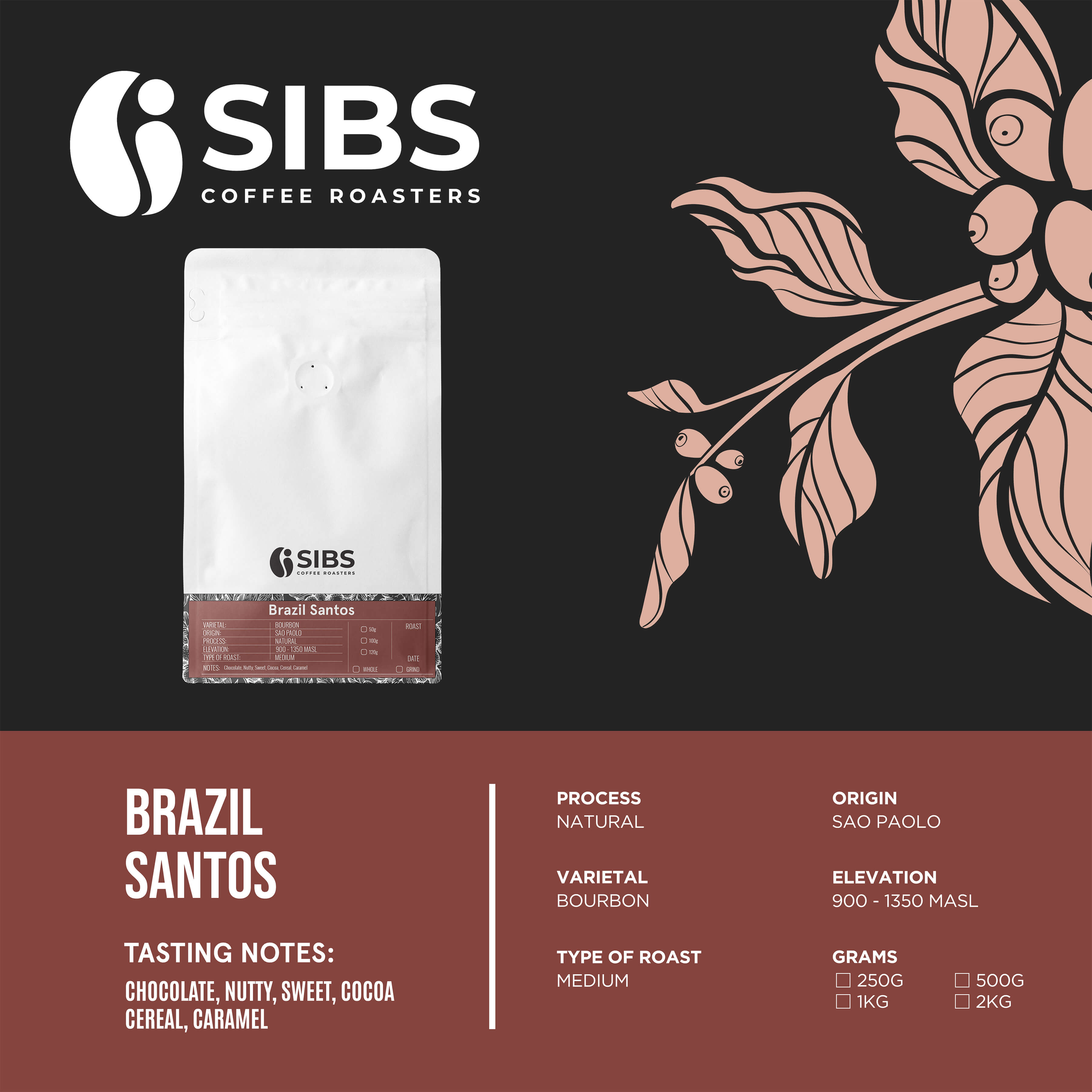 Brazil Santos (100% Arabica) - Freshly Roasted Coffee