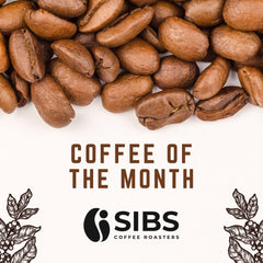 Coffee of the Month - Freshly Roasted Coffee