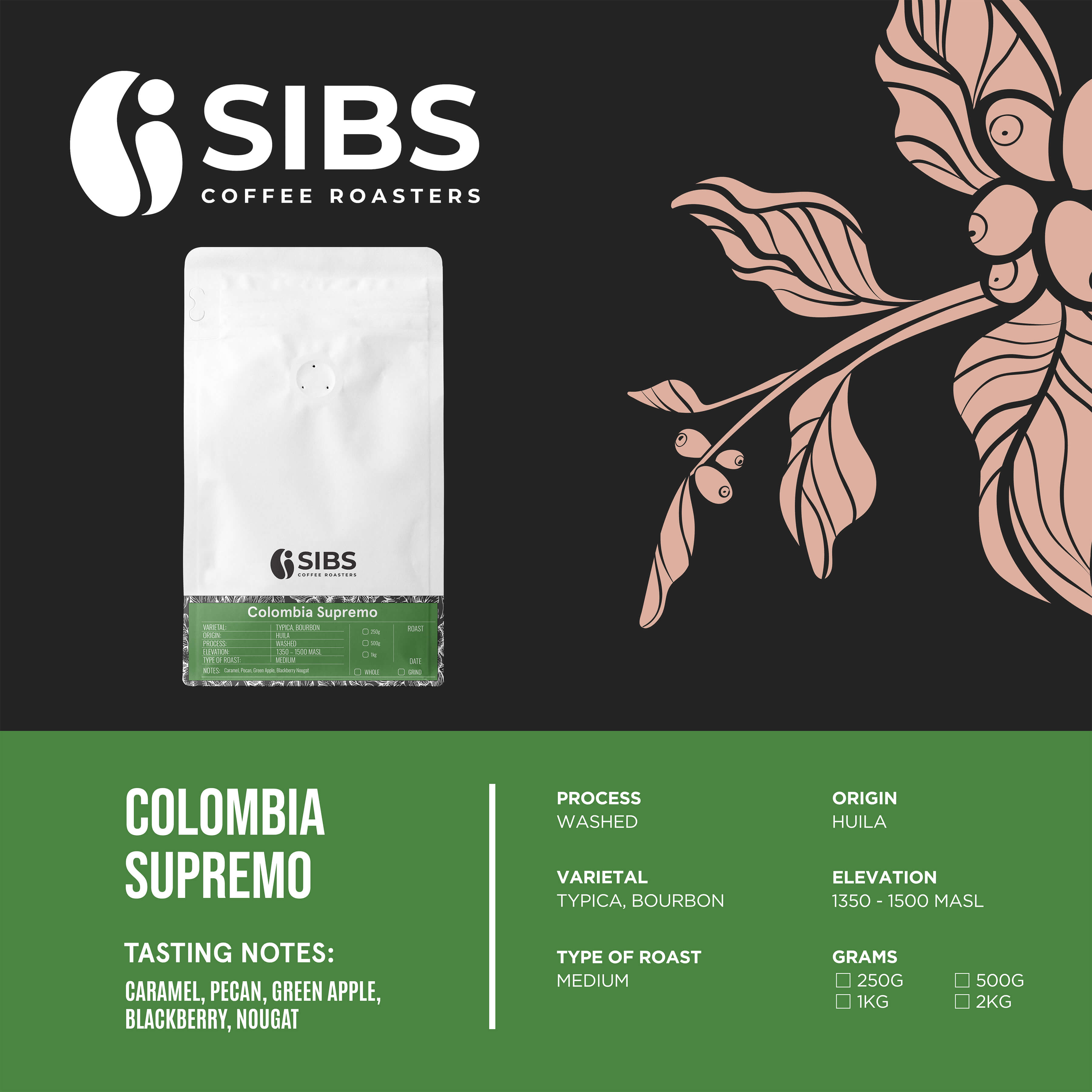 Colombia Supremo (100% Arabica) - Freshly Roasted Coffee