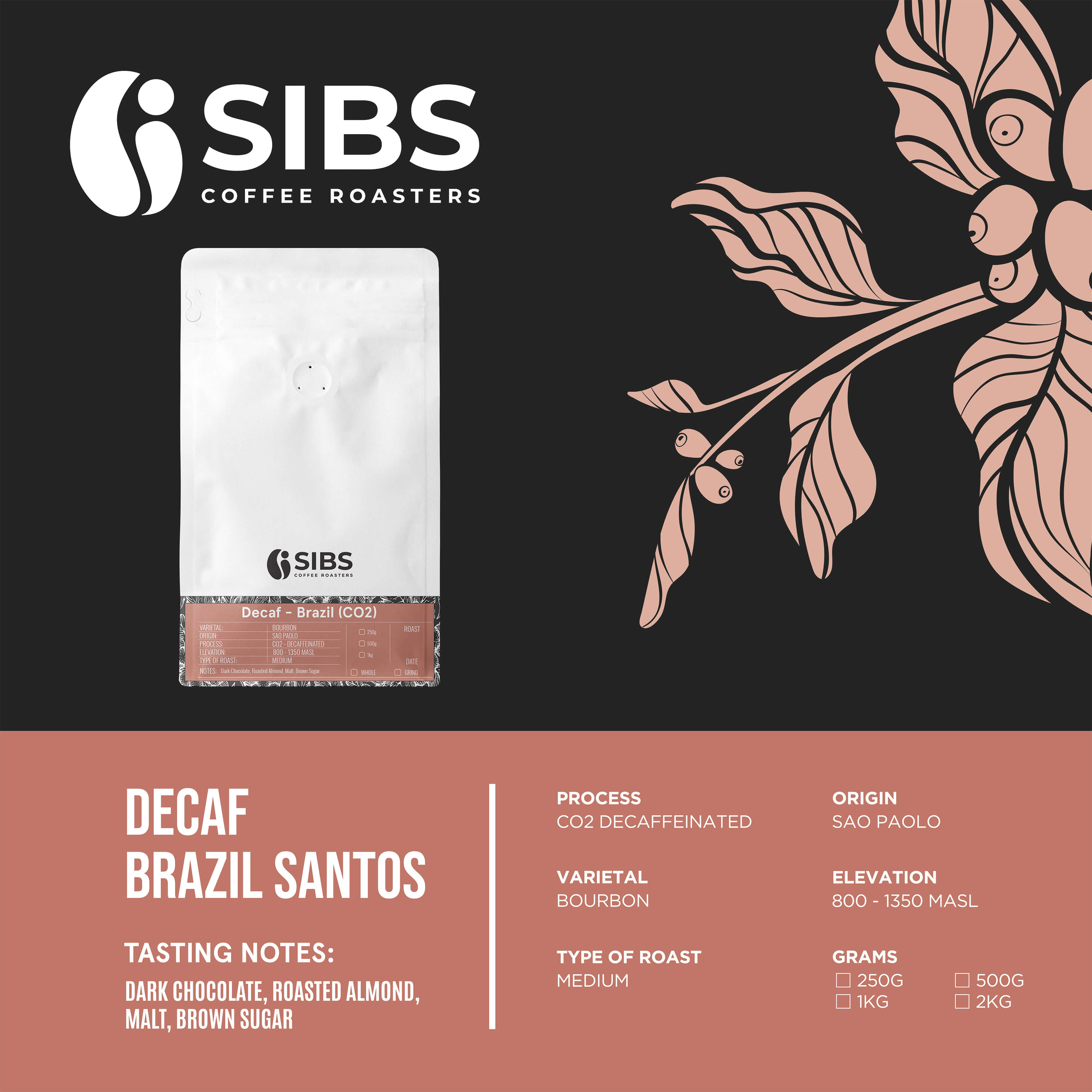 Decaf Brazil Santos (100% Arabica) - Freshly Roasted Coffee