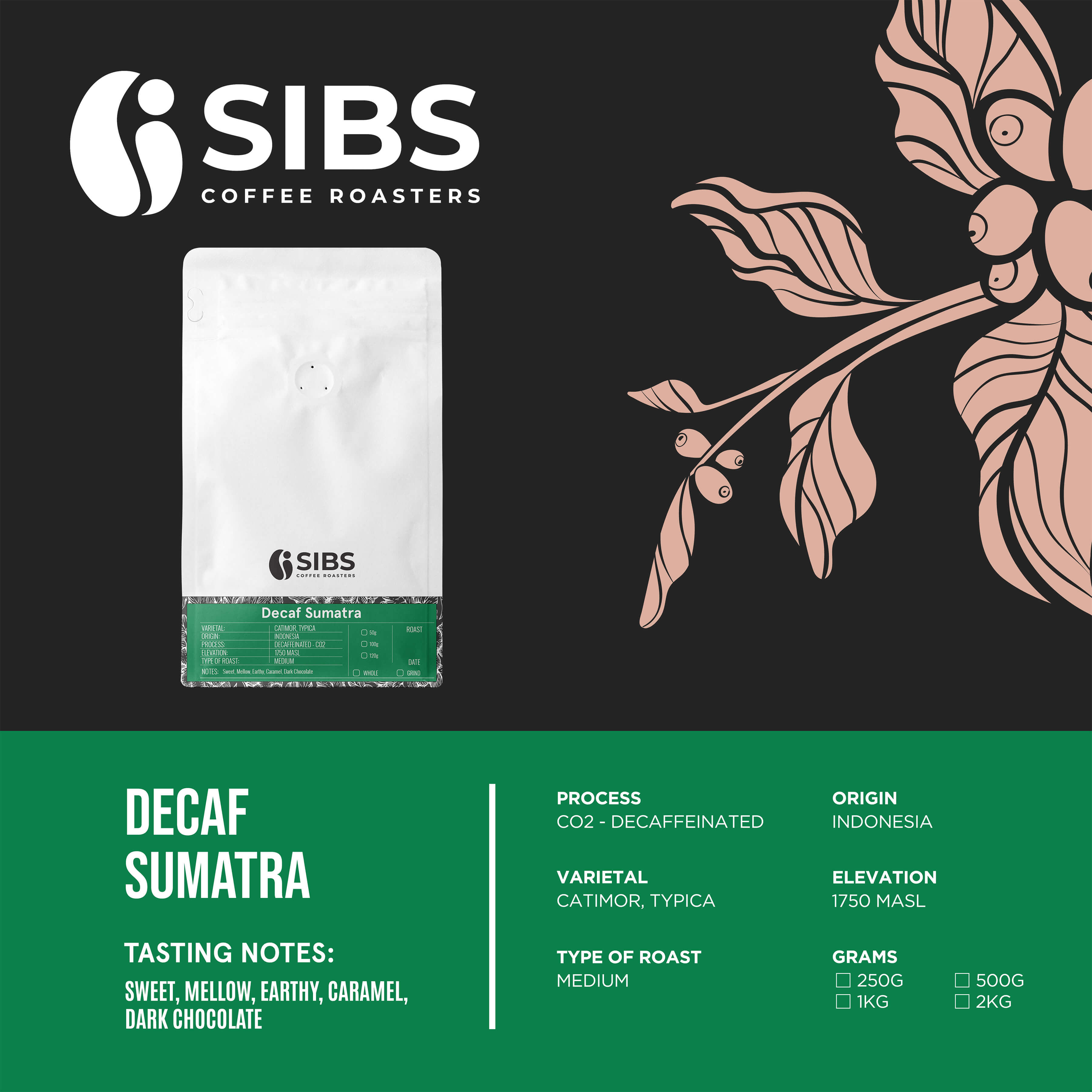 Decaf Sumatra (100% Arabica) - Freshly Roasted Coffee