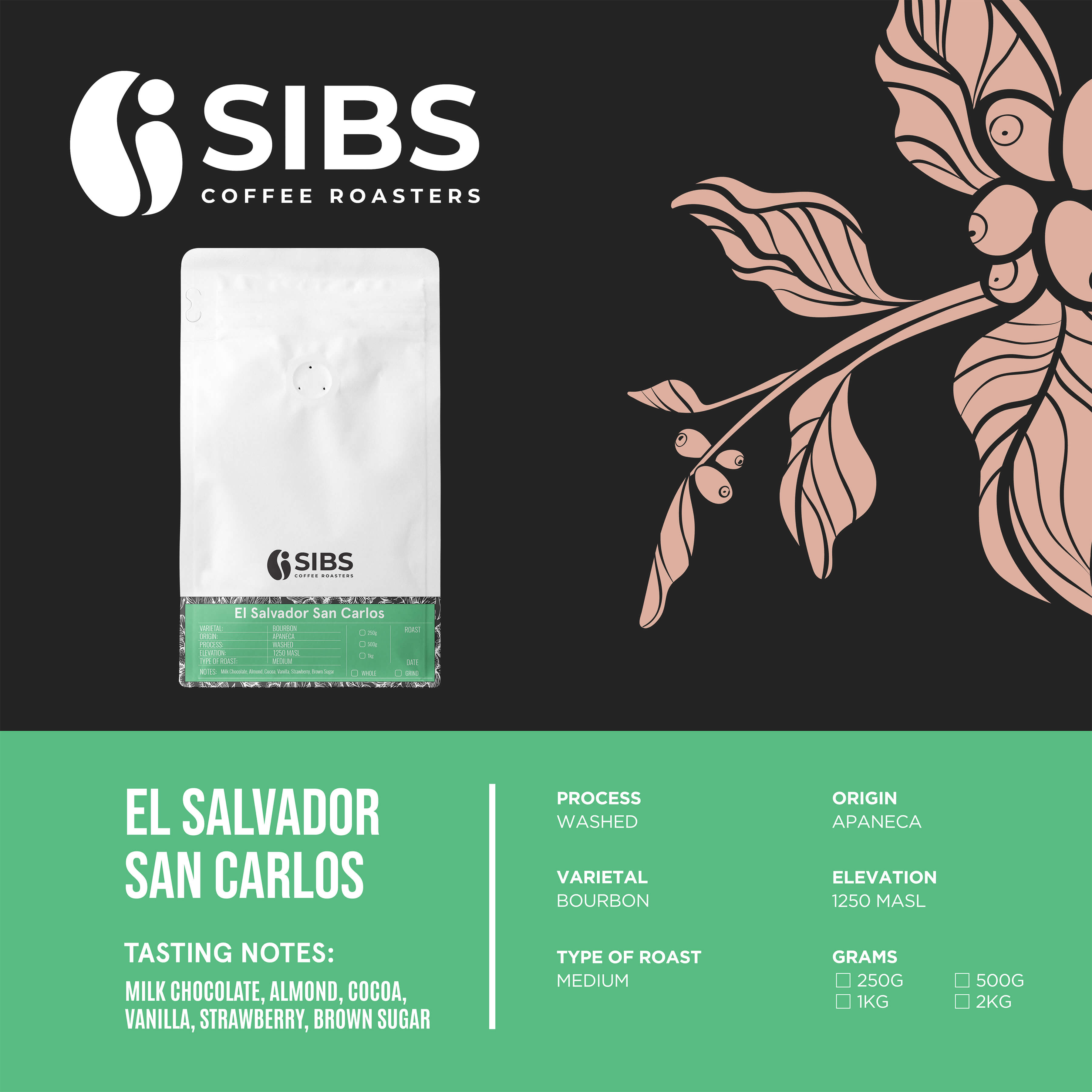 El Salvador San Carlos (100% Arabica) - Freshly Roasted Coffee