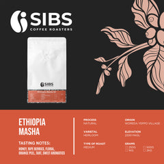 Ethiopia Masha (100% Arabica) - Freshly Roasted Coffee
