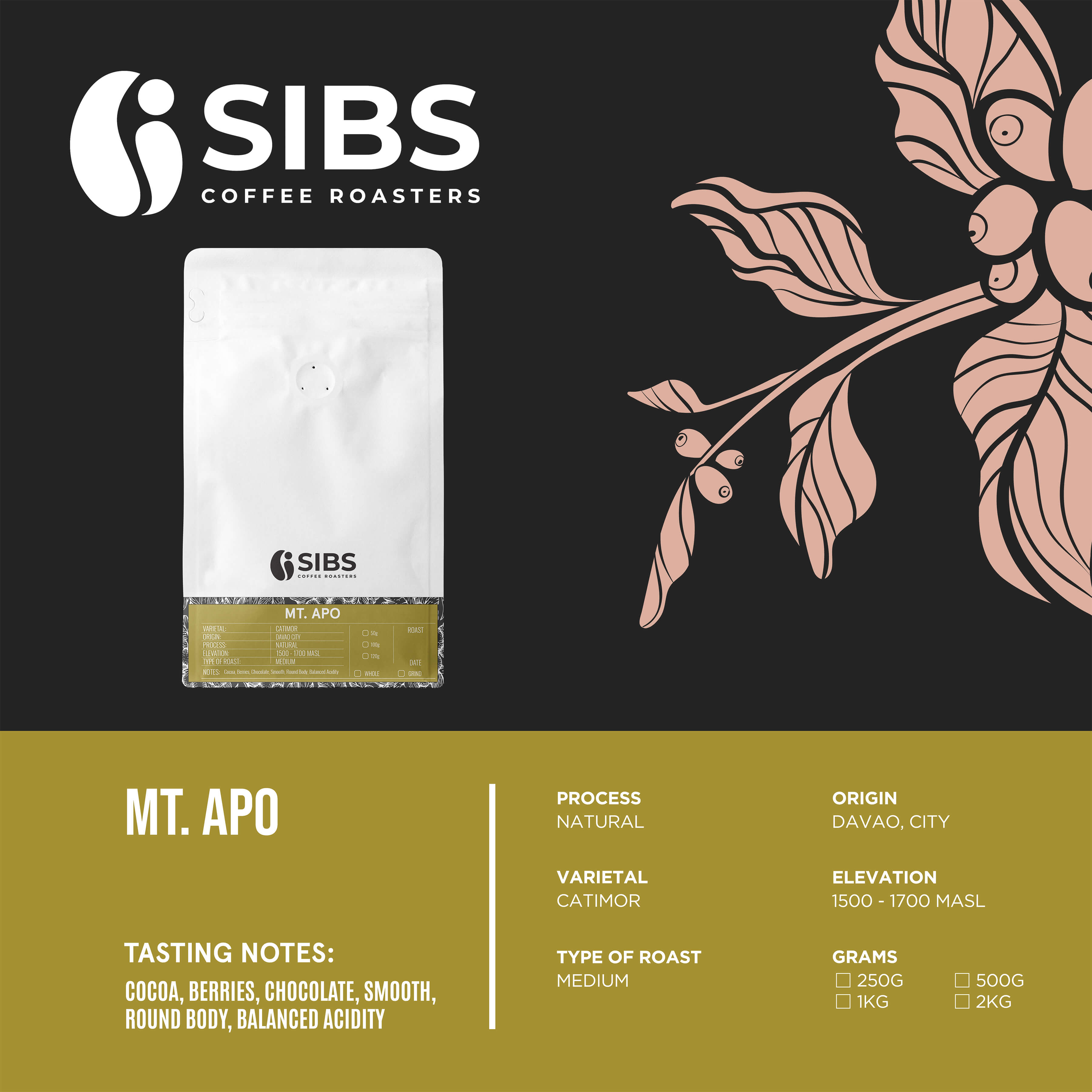 Mt. Apo (100% Arabica) - Freshly Roasted Coffee